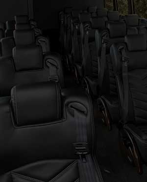 rows of leather seats