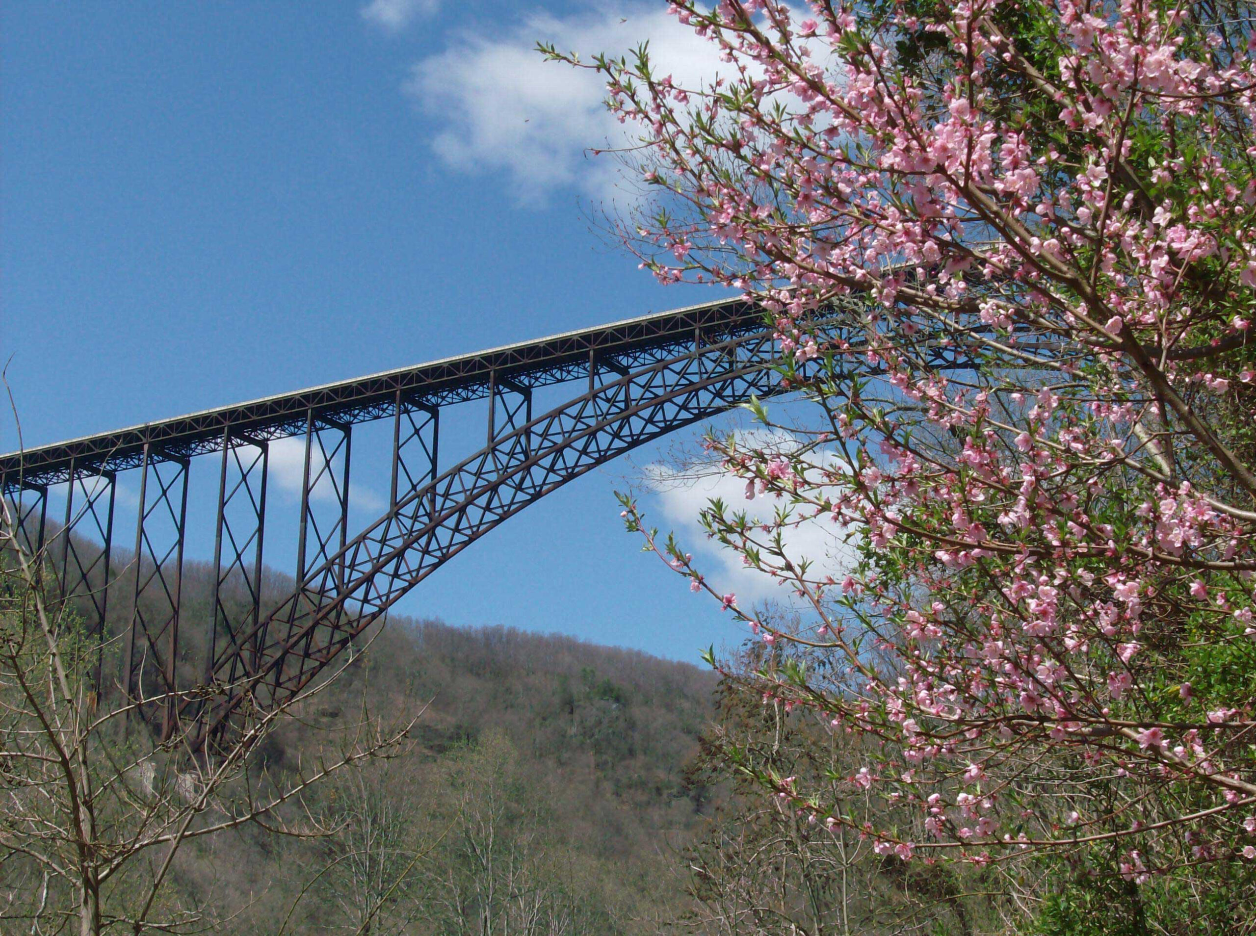 new river gorge bridge Photo by Lori McKinney_tb ready